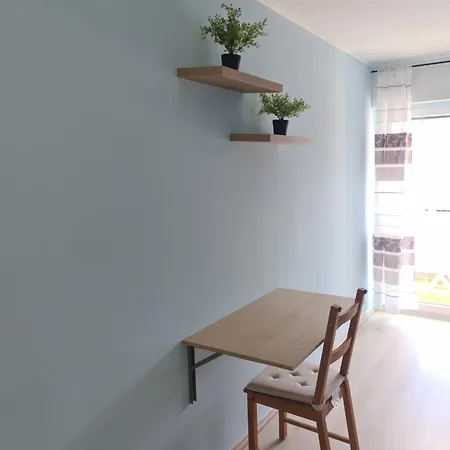 Comfortable Apartment