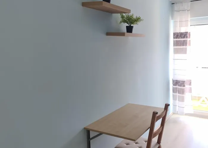 Comfortable Apartment